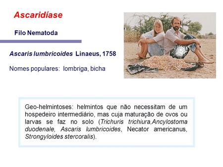 Ascaridíase Filo Nematoda Ascaris lumbricoides Linaeus, 1758