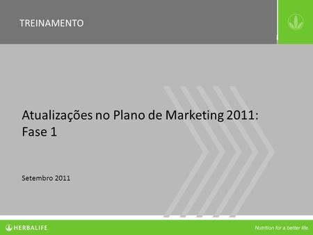 Atualizações no Plano de Marketing 2011: Fase 1