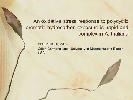 An oxidative stress response to polycyclic aromatic hydrocarbon exposure is rapid and complex in A. thaliana Plant Science, 2009 Cólon-Carmona Lab - University.