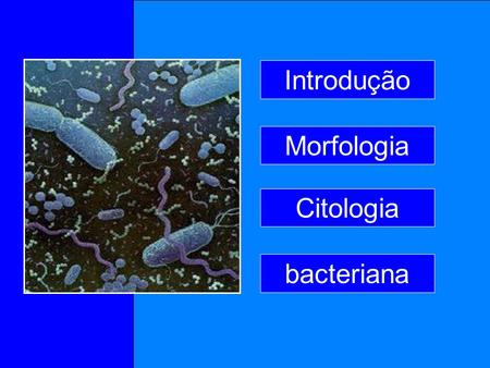 Introdução Morfologia Citologia bacteriana.