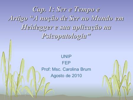UNIP FEP Prof: Msc. Carolina Brum Agosto de 2010