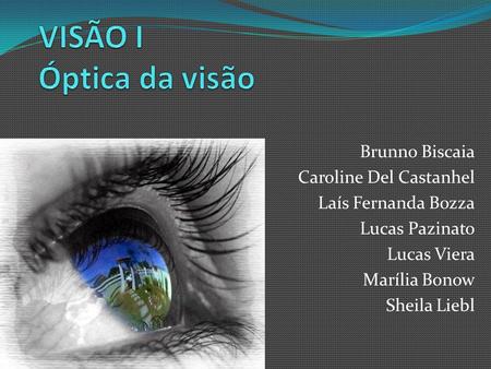 VISÃO I Óptica da visão Brunno Biscaia Caroline Del Castanhel