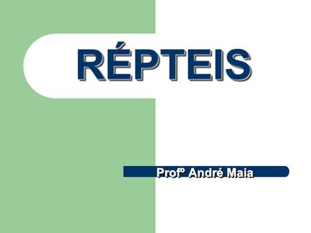 RÉPTEIS Profº André Maia.
