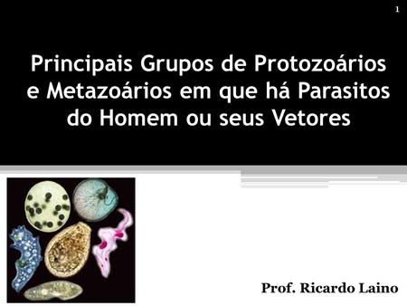 Principais Grupos de Protozoários e Metazoários em que há Parasitos do Homem ou seus Vetores Prof. Ricardo Laino.