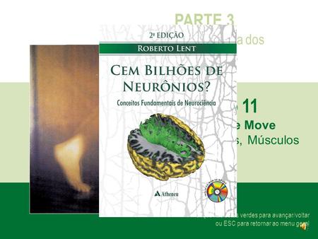 Capítulo 11 PARTE 3 Neurociência dos Movimentos O Corpo se Move