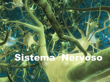 Sistema Nervoso.