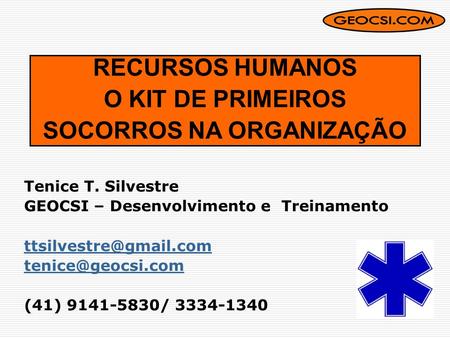 Tenice T. Silvestre GEOCSI – Desenvolvimento e Treinamento  (41) 9141-5830/ 3334-1340 RECURSOS HUMANOS O KIT DE.