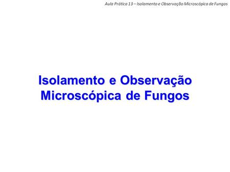 Isolamento e Observação Microscópica de Fungos