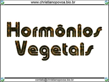 Auxina Hormônios Vegetais Também chamados de fitormônios.