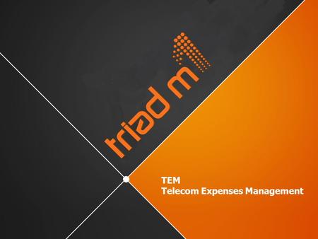 TEM Telecom Expenses Management.