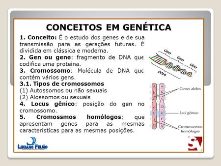 CONCEITOS EM GENÉTICA 1. Conceito: É o estudo dos genes e de sua transmissão para as gerações futuras. É dividida em clássica e moderna. 2. Gen ou gene: