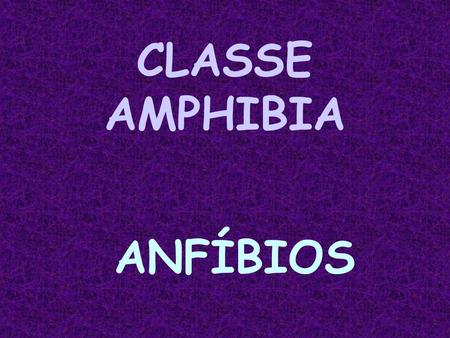 CLASSE AMPHIBIA ANFÍBIOS.