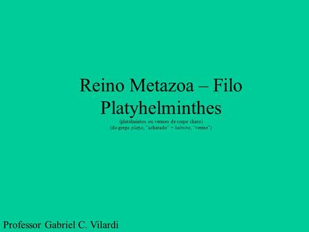 Reino Metazoa – Filo Platyhelminthes
