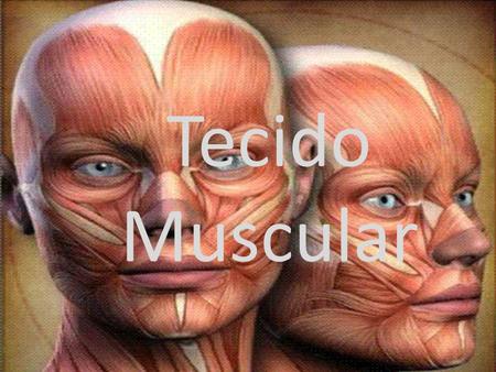 Tecido Muscular.