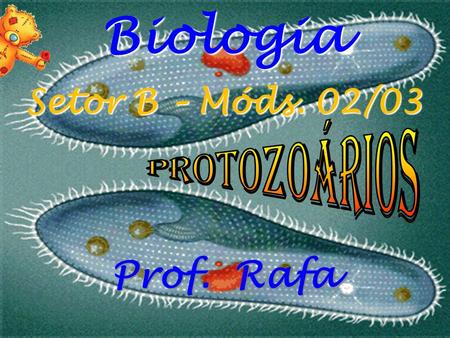 Biologia Setor B – Móds. 02/03 Protozoários Prof. Rafa.