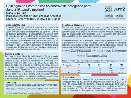 Utilização de Fitoterápicos no controle de patógenos para Jundiá (Rhamdia quellen) Maria Luiza Ruiz Iniciação Científica (PIBIC/Fundação Araucária) Leandro.