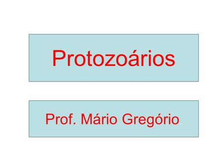 Protozoários Prof. Mário Gregório..