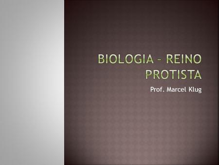 Biologia – Reino protista