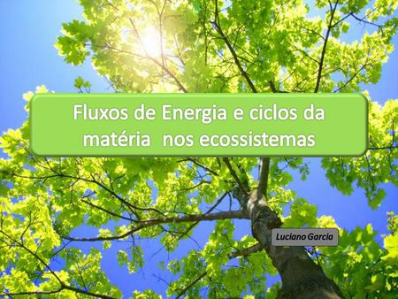 Fluxos de Energia e ciclos da matéria nos ecossistemas