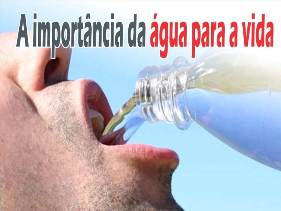 Educopédia importancia da agua