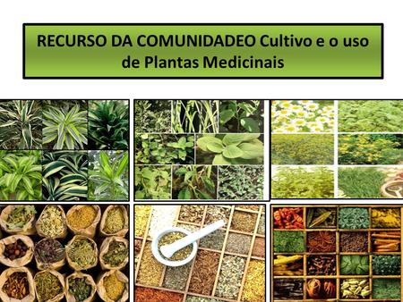 RECURSO DA COMUNIDADEO Cultivo e o uso de Plantas Medicinais