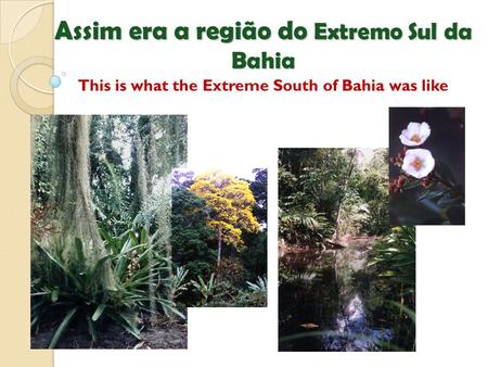 Assim era a região do Extremo Sul da Bahia Assim era a região do Extremo Sul da Bahia This is what the Extreme South of Bahia was like.