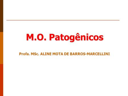 Profa. MSc. ALINE MOTA DE BARROS-MARCELLINI