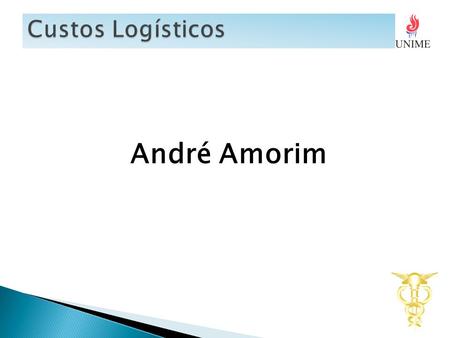 Custos Logísticos André Amorim.