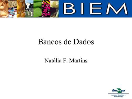 Bancos de Dados Natália F. Martins. BD de Seqüências Há uma quantidade gigantesca de informação sobre biomoléculas em BD públicos Mais de 348 BD –BD de.