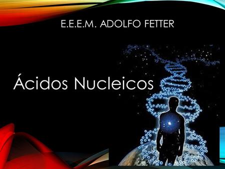 E.E.E.M. ADOLFO FETTER Ácidos Nucleicos.