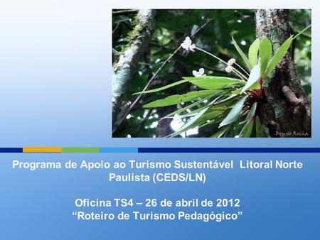 Programa de Apoio ao Turismo Sustentável Litoral Norte Paulista (CEDS/LN) Oficina TS4 – 26 de abril de 2012 “Roteiro de Turismo Pedagógico”