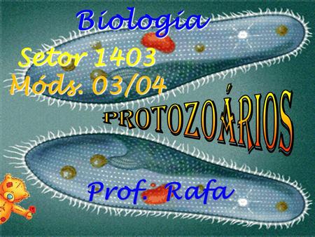Biologia Setor 1403 Móds. 03/04 Protozoários Prof. Rafa.