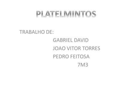 TRABALHO DE: GABRIEL DAVID JOAO VITOR TORRES PEDRO FEITOSA 7M3
