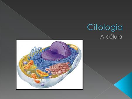 Citologia A célula.