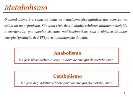 Metabolismo Anabolismo Catabolismo
