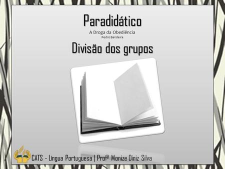 Paradidático Divisão dos grupos