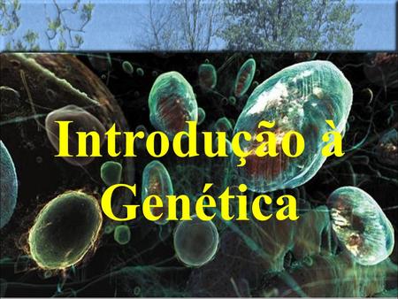 Introdução à Genética. Genética é a área da Biologia que estuda a herança biológica, ou hereditariedade. Hereditariedade: é a transmissão de característica.