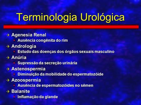 Terminologia Urológica