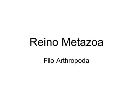 Reino Metazoa Filo Arthropoda.
