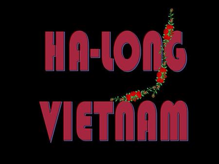 Halong Bay situa-se ao norte do Vietnã, na província de Quang Ninh, no Golfo de Tonkin, perto da fronteira da China e 170 km a leste de Hanói. Ocupa.