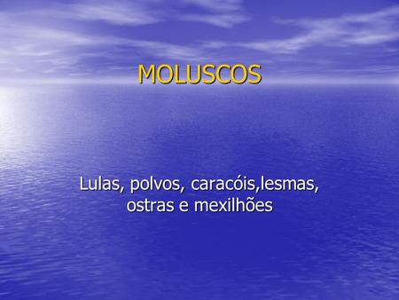 Lulas, polvos, caracóis,lesmas, ostras e mexilhões