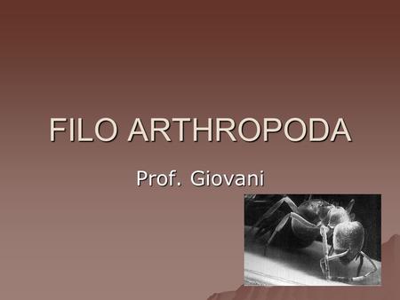 FILO ARTHROPODA Prof. Giovani.