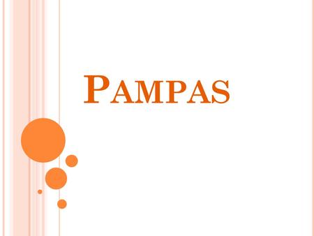 Pampas.
