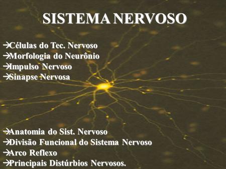 SISTEMA NERVOSO Células do Tec. Nervoso Morfologia do Neurônio