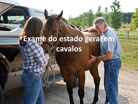 Exame do estado geral em cavalos