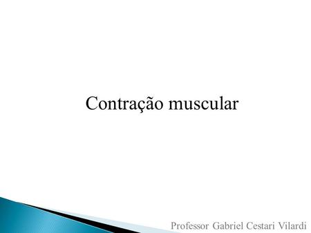 Contração muscular Professor Gabriel Cestari Vilardi.