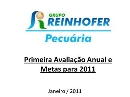Primeira Avaliação Anual e Metas para 2011 Janeiro / 2011.
