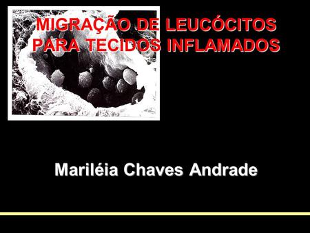 MIGRAÇÃO DE LEUCÓCITOS PARA TECIDOS INFLAMADOS Mariléia Chaves Andrade