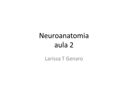 Neuroanatomia aula 2 Larissa T Genaro.