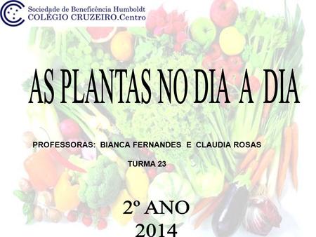 PROFESSORAS: BIANCA FERNANDES E CLAUDIA ROSAS